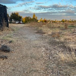 Meet your Posher, Maddie